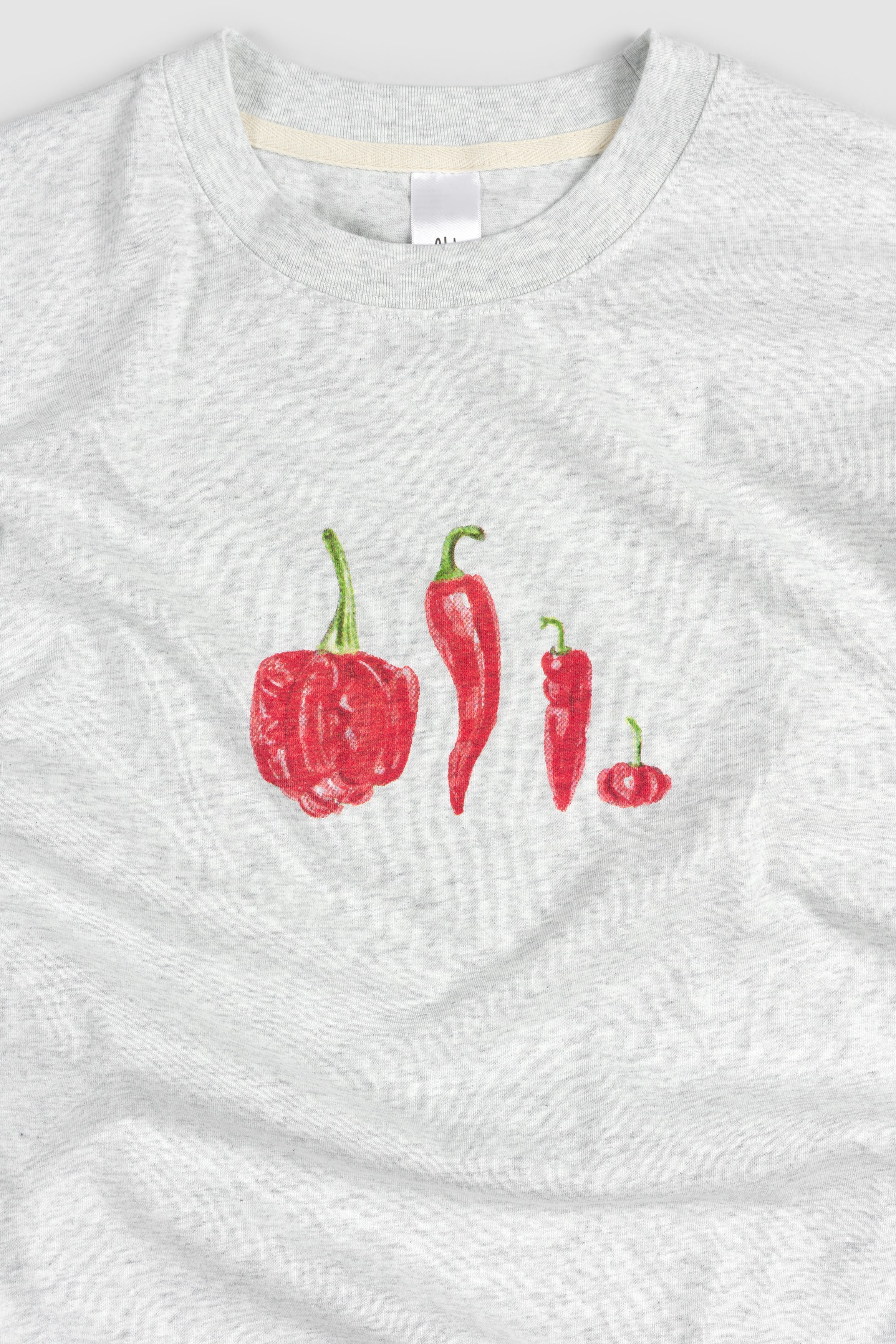 Chilli T - Snow Marle - Image 2